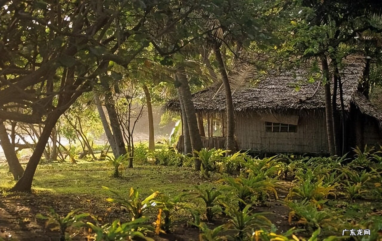 屋后打井的风水