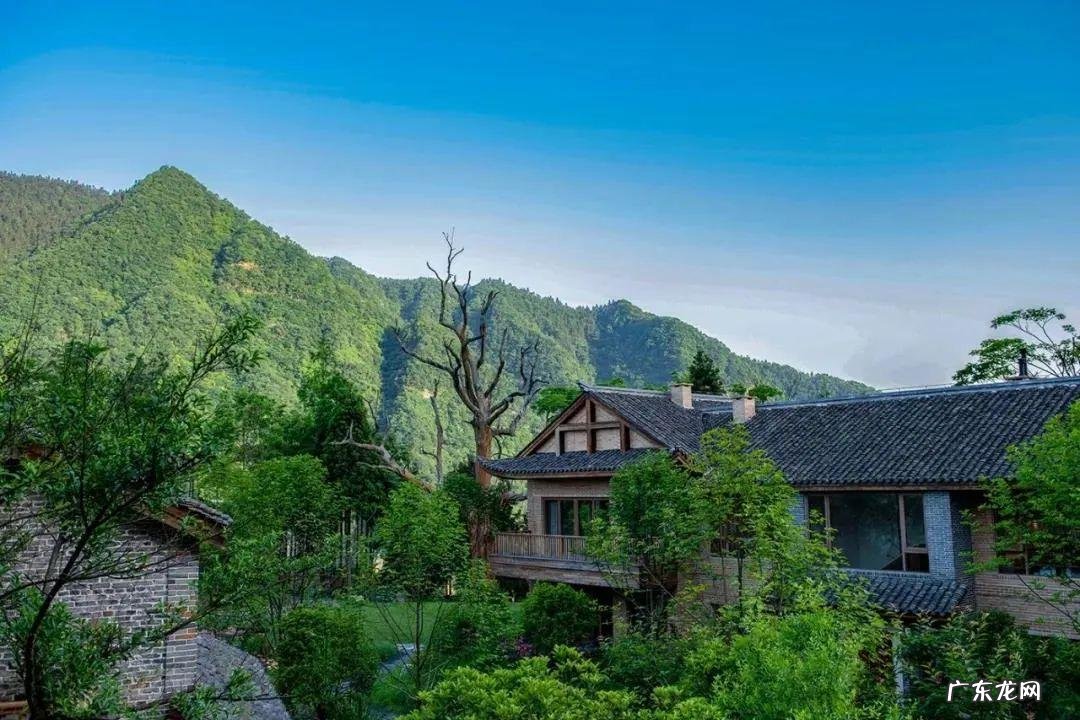 江湖任我行攻略大全