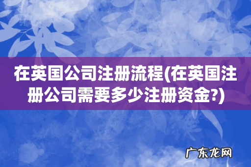 在英国注册公司需要多少注册资金? 在英国公司注册流程