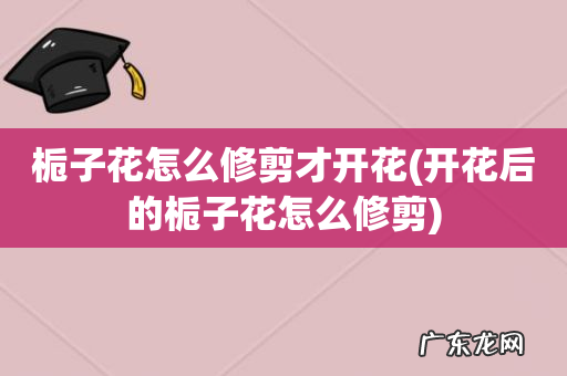 开花后的栀子花怎么修剪 栀子花怎么修剪才开花