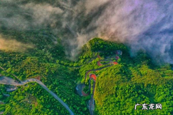蜜蜂阳宅做窝的风水 家里有个蜜蜂窝对风水有什么说法