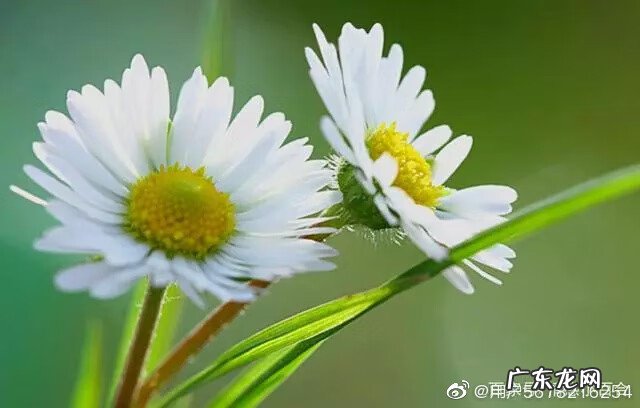 墙角档口的风水 房子在马路拐角风水