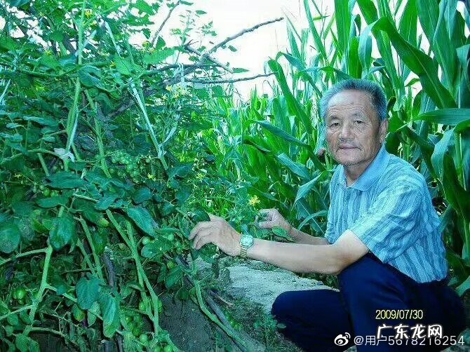 墙角档口的风水 房子在马路拐角风水