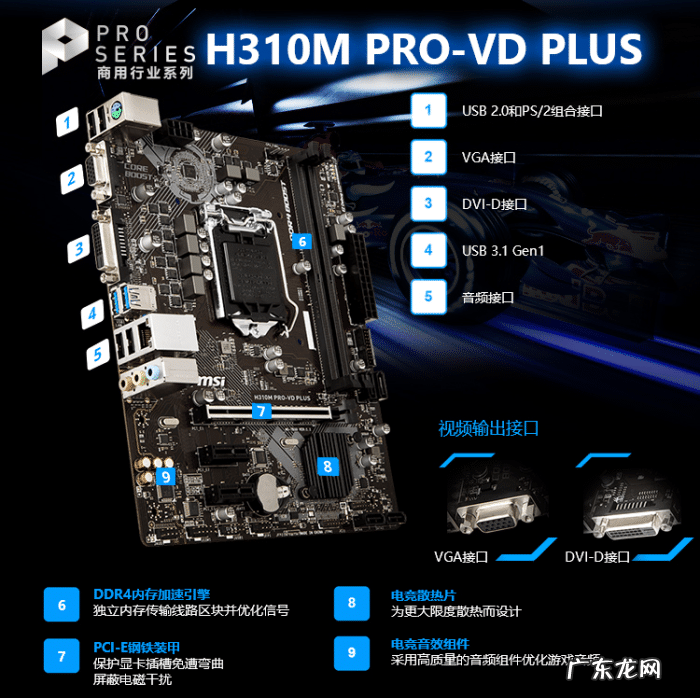 龙霸九洲老版本