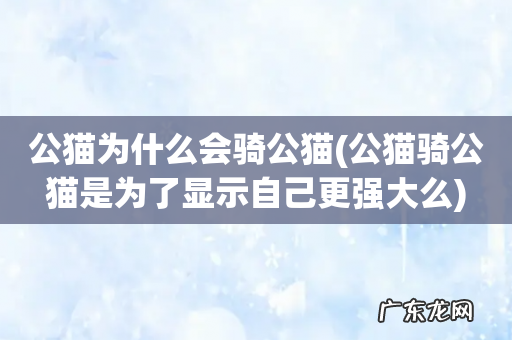 公猫骑公猫是为了显示自己更强大么 公猫为什么会骑公猫