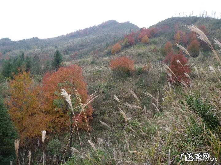 广西横县镇龙风水宝地 广西马山县风水宝地