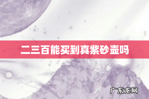 二三百能买到真紫砂壶吗