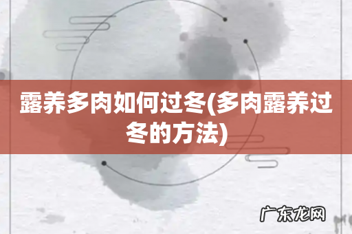 多肉露养过冬的方法 露养多肉如何过冬