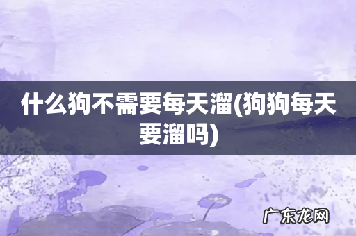 狗狗每天要溜吗 什么狗不需要每天溜