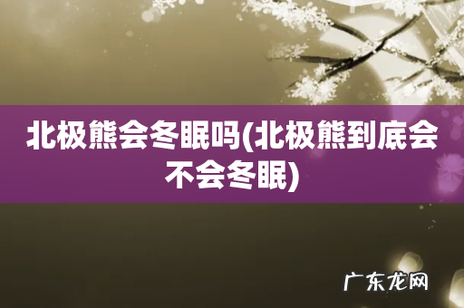 北极熊到底会不会冬眠 北极熊会冬眠吗