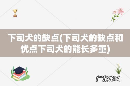 下司犬的缺点和优点下司犬的能长多重 下司犬的缺点