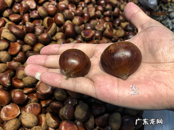 煮熟的板栗怎样好剥壳 板栗怎么煮好吃好剥壳做法