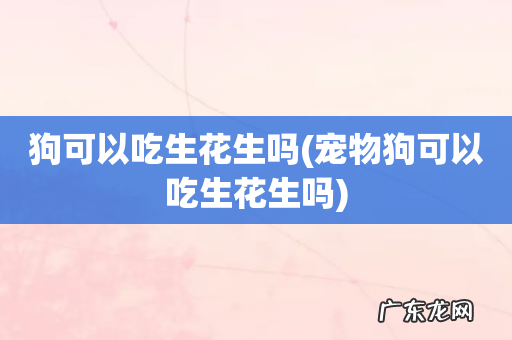 宠物狗可以吃生花生吗 狗可以吃生花生吗