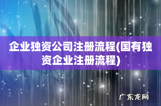 国有独资企业注册流程 企业独资公司注册流程