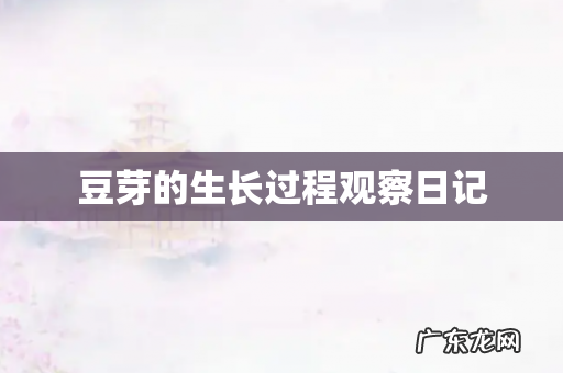 豆芽的生长过程观察日记