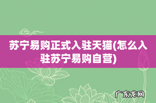 怎么入驻苏宁易购自营 苏宁易购正式入驻天猫