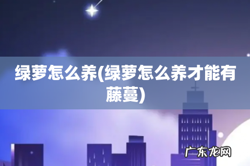 绿萝怎么养才能有藤蔓 绿萝怎么养