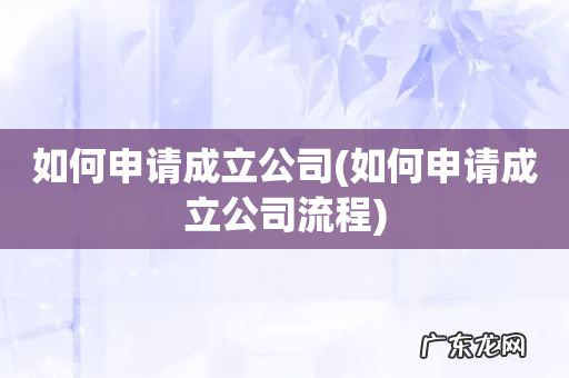 如何申请成立公司流程 如何申请成立公司