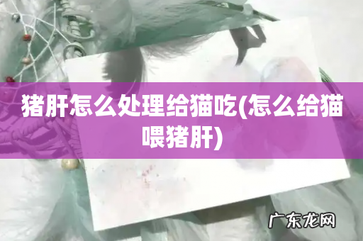 怎么给猫喂猪肝 猪肝怎么处理给猫吃