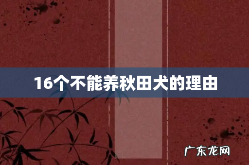 16个不能养秋田犬的理由