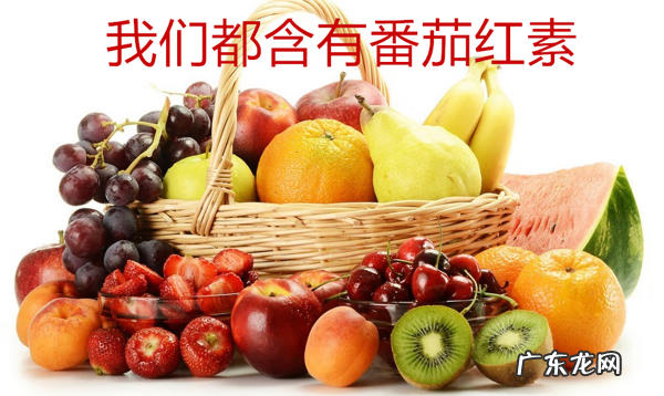 吃番茄红素的真实体验 番茄红素胶囊的作用与功效