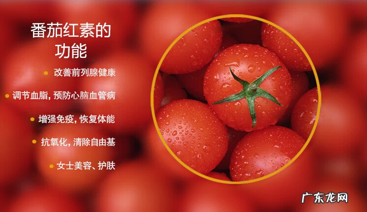 吃番茄红素的真实体验 番茄红素胶囊的作用与功效