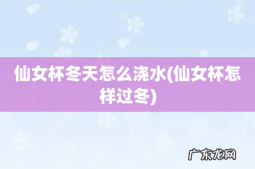 仙女杯怎样过冬 仙女杯冬天怎么浇水