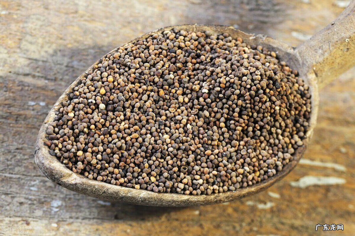 补肾吃什么食物有哪些 肾阴虚吃什么好