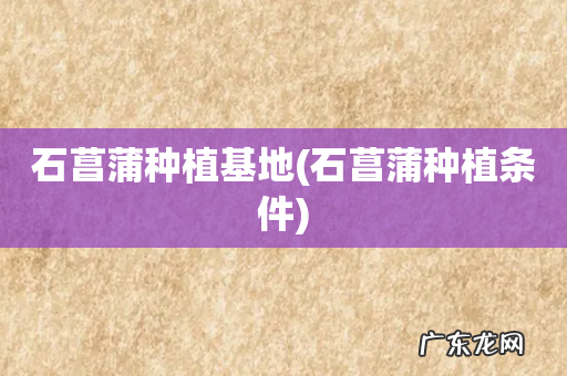 石菖蒲种植条件 石菖蒲种植基地