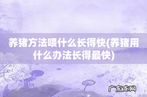 养猪用什么办法长得最快 养猪方法喂什么长得快