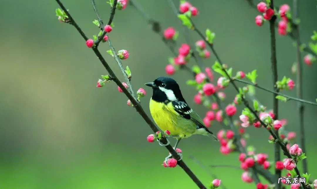 教你什么看山地风水 山水风水学