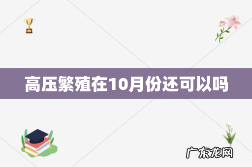 高压繁殖在10月份还可以吗