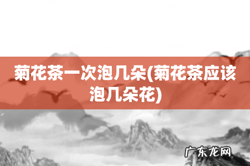 菊花茶应该泡几朵花 菊花茶一次泡几朵