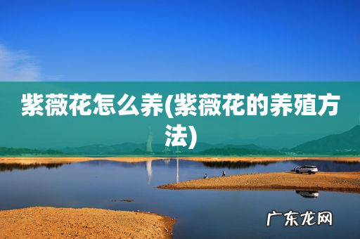 紫薇花的养殖方法 紫薇花怎么养