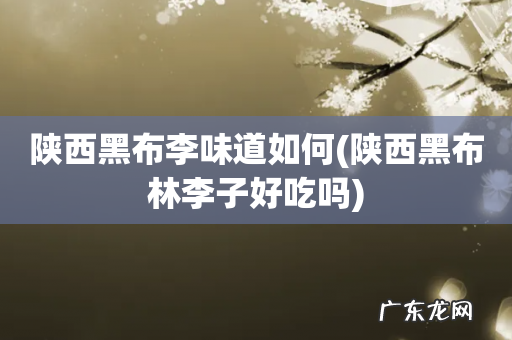 陕西黑布林李子好吃吗 陕西黑布李味道如何