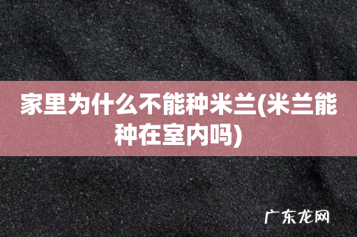 米兰能种在室内吗 家里为什么不能种米兰
