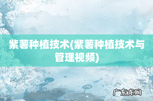 紫薯种植技术与管理视频 紫薯种植技术