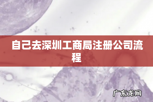 自己去深圳工商局注册公司流程