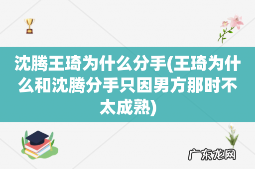 王琦为什么和沈腾分手只因男方那时不太成熟 沈腾王琦为什么分手