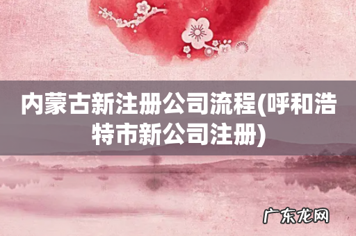 呼和浩特市新公司注册 内蒙古新注册公司流程