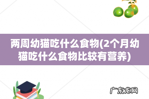 2个月幼猫吃什么食物比较有营养 两周幼猫吃什么食物