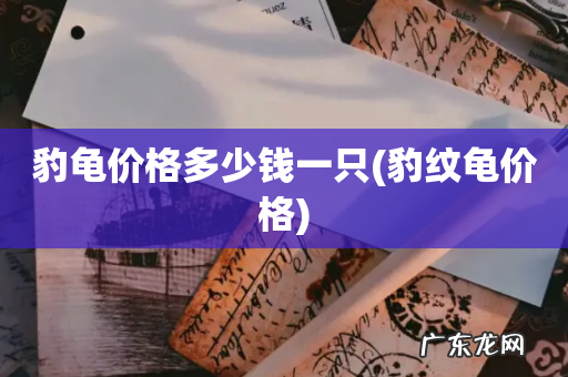 豹纹龟价格 豹龟价格多少钱一只