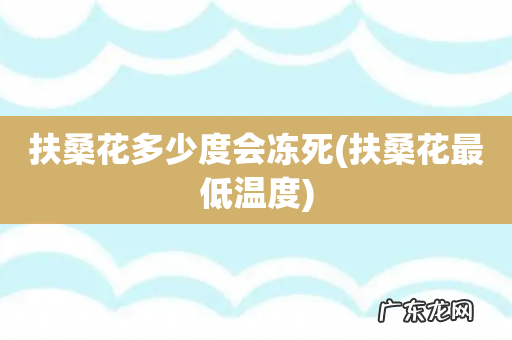 扶桑花最低温度 扶桑花多少度会冻死