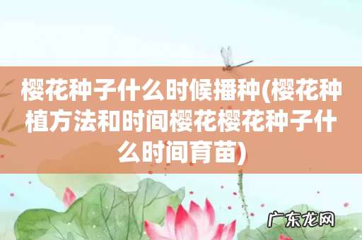 樱花种植方法和时间樱花樱花种子什么时间育苗 樱花种子什么时候播种
