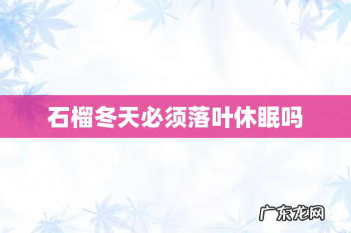 石榴冬天必须落叶休眠吗