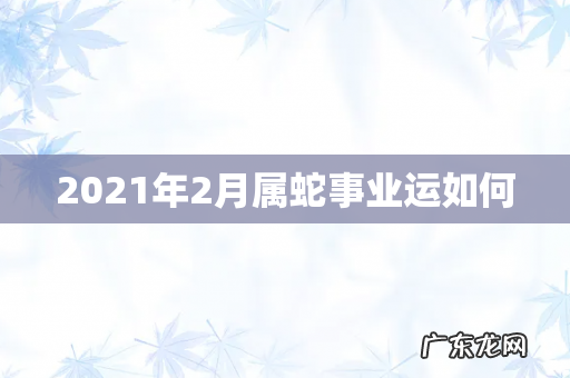 2021年2月属蛇事业运如何