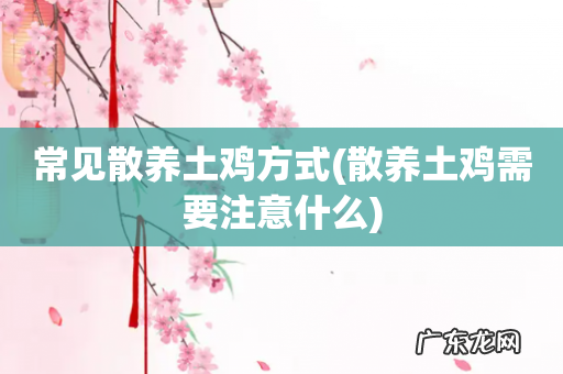 散养土鸡需要注意什么 常见散养土鸡方式