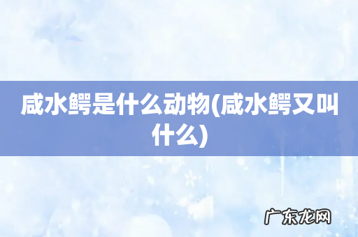 咸水鳄又叫什么 咸水鳄是什么动物