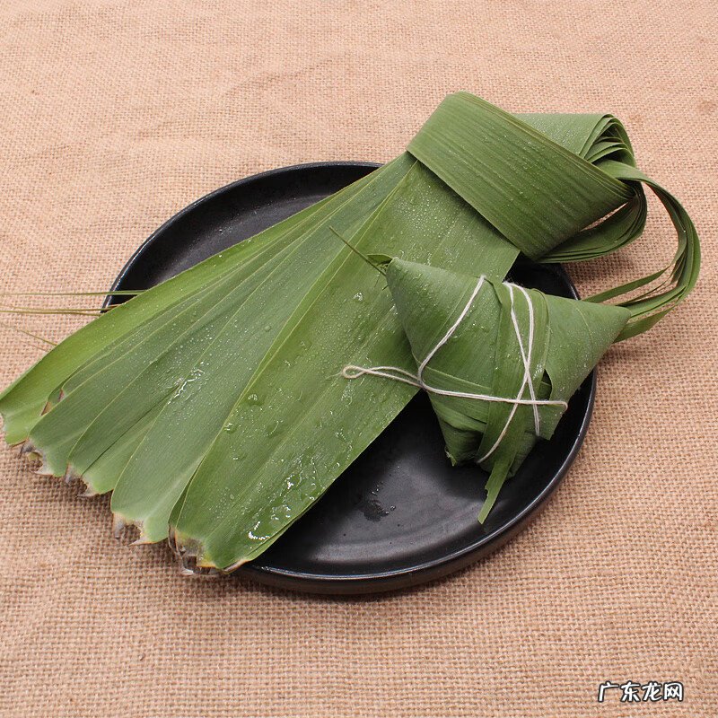 包粽子的芦苇叶长什么样 包粽子的叶子叫什么