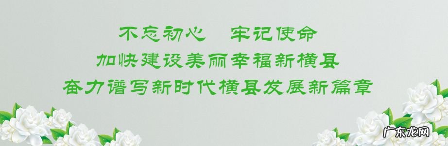 横县南乡镇最新消息 广西横县风水大地